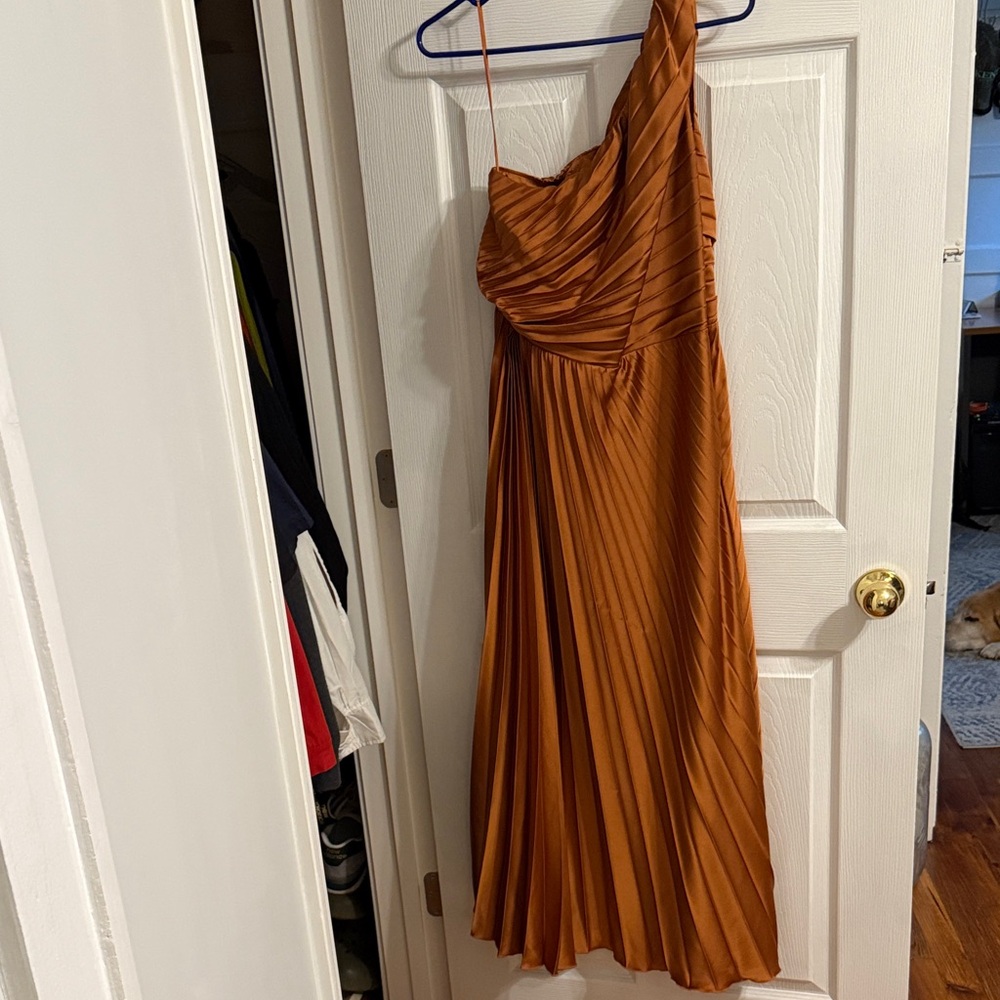 Abercrombie & Fitch One-Shoulder Dress in Rich Rust